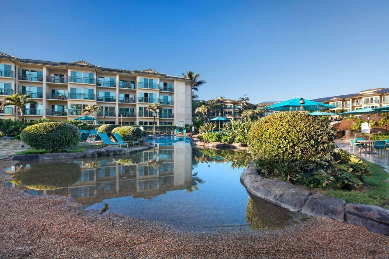 Waipouli Beach Resort Beautiful Luxury Ground Level Garden View Ac Pool! Kapa'a Esterno foto